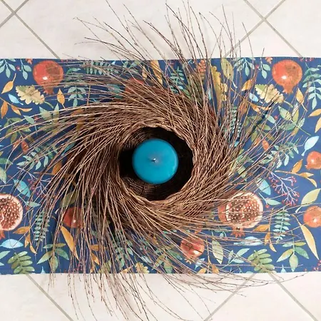 Il Nido Blu شقة *